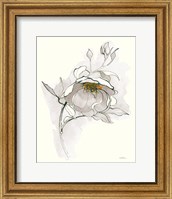 Carols Roses V Off White Fine Art Print