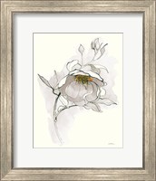 Carols Roses V Off White Fine Art Print