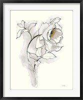 Carols Roses III Soft Gray Fine Art Print