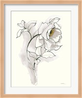 Carols Roses III Soft Gray Fine Art Print