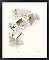 Carols Roses II Taupe Fine Art Print