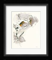 Carols Roses II Taupe Framed Print