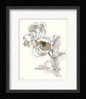 Carols Roses IV Tan Framed Print