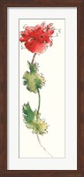 Peony Form Poppies I Fine Art Print