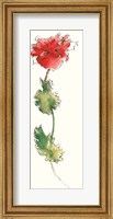 Peony Form Poppies I Fine Art Print