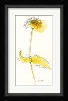 Zinnia V Framed Print