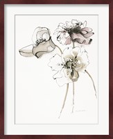 Three Somniferums Poppies Neutral Fine Art Print