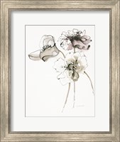 Three Somniferums Poppies Neutral Fine Art Print