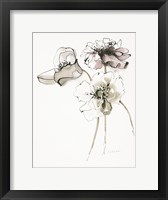 Three Somniferums Poppies Neutral Fine Art Print