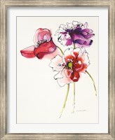 Three Somniferums Poppies Fine Art Print