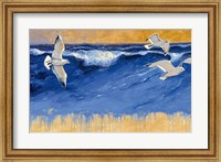 Seagulls Fine Art Print