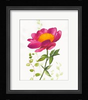 Some Favorites IV Framed Print