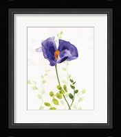 Some Favorites III Framed Print