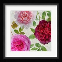 Peonies and Roses V Framed Print