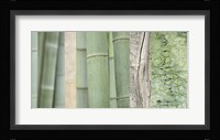 Green Bamboo Collage Fine Art Print