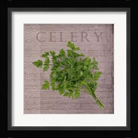 Classic Herbs Celery Framed Print