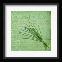 Classic Herbs Chives Framed Print