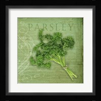 Classic Herbs Parsley Framed Print