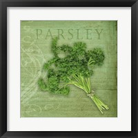 Classic Herbs Parsley Framed Print