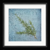 Classic Herbs Rosemary Framed Print