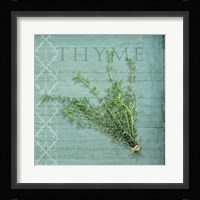 Classic Herbs Thyme Framed Print