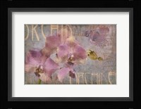 Orchid I Fine Art Print