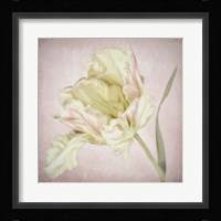 Pink Parrot Tulip Painting I Fine Art Print