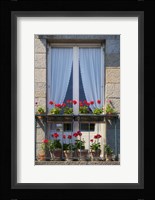Window With Red Geraniums Fine Art Print