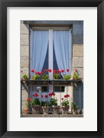 Window With Red Geraniums Fine Art Print