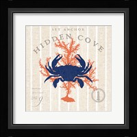 Island Findings II Crab Framed Print