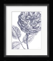 Belle Fleur III Light Crop Framed Print