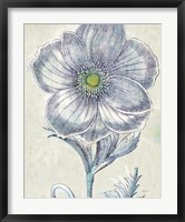 Belle Fleur II Crop Fine Art Print