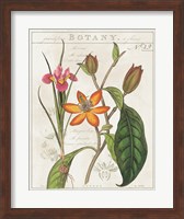 Vintage Flora III Ivory Fine Art Print