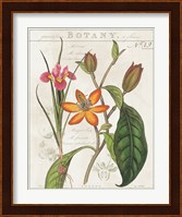 Vintage Flora III Ivory Fine Art Print
