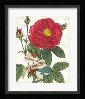 Yuletide IV Framed Print