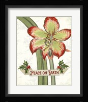 Yuletide II Framed Print