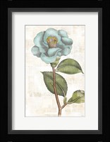 Bloemen Boek IX Framed Print