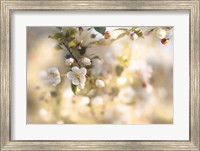Blush Blossoms I Pastel Fine Art Print