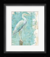 Coastal Egret I Fine Art Print