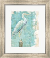 Coastal Egret I Fine Art Print