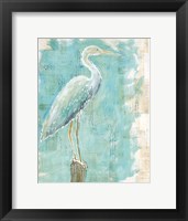 Coastal Egret I Framed Print