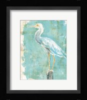 Coastal Egret II Framed Print