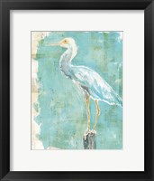 Coastal Egret II Framed Print