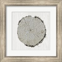 Woodland Years II with Silver v2 Fine Art Print