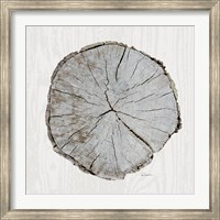 Woodland Years I with Silver Fine Art Print
