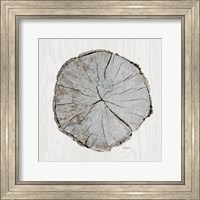 Woodland Years I with Silver Fine Art Print