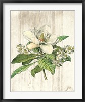 Magnolia de Printemps no Words Fine Art Print