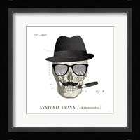 Dandy Bones V Framed Print