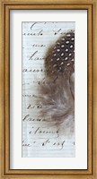 Plume Feathers V Crop II Fine Art Print