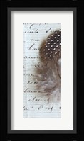 Plume Feathers V Crop II Framed Print